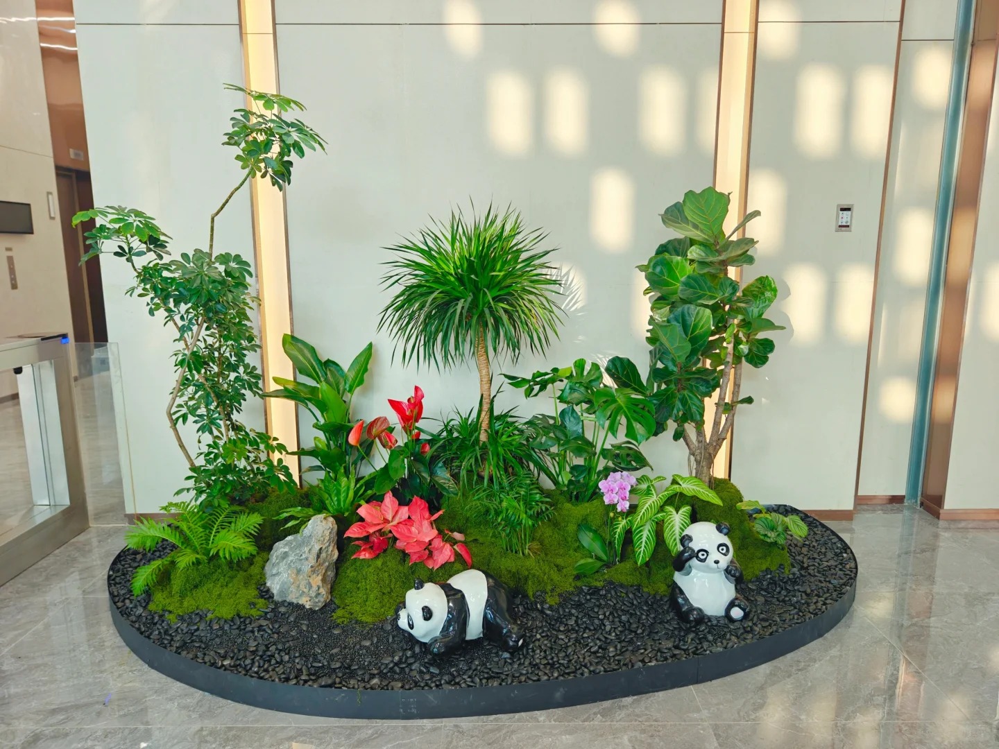 了解鄞州植物租摆方案，为空间增添生机与活力！